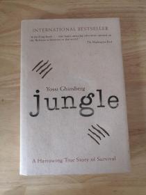 Jungle: A Harrowing True Story of Survival 丛林：一个令人痛苦的真实生存故事 尤奚·金柏格 英文野外生存传记、回忆录