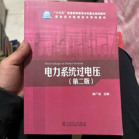 “十三五”普通高等教育本科重点规划教材 高电压与绝缘技术系列教材 电力系统过电压（第二版）