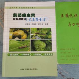 蔬菜病虫害诊断与防治原色生态图谱/蔬菜产业农民培训精品教材