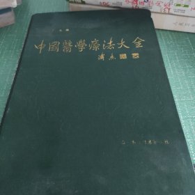 中国医学疗法大全