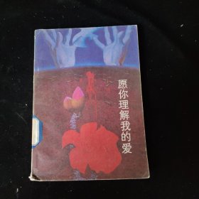 愿你理解我的爱