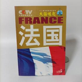 法国(大国崛起系列丛书)