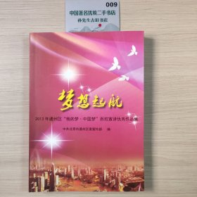 梦想起航 : 2013年通州区“我的梦·中国梦”百姓 宣讲优秀作品集