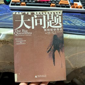 大问题：简明哲学导论