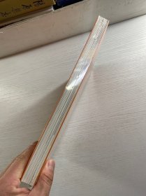 九思的画 美术家个案研究丛书(正版·全新未拆封)