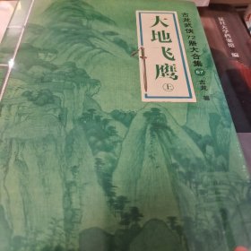 大地飞鹰（上下）