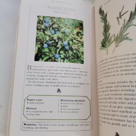 THE HERBAL COMPANION