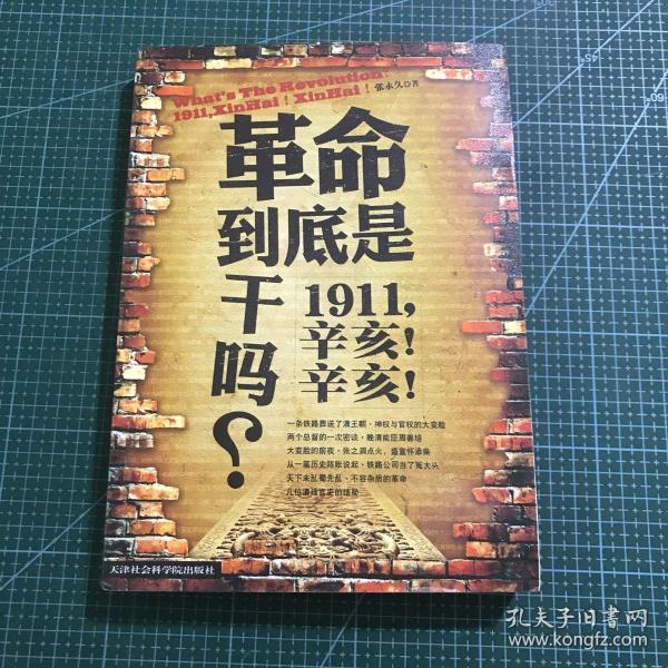 革命到底是干吗？：1911，辛亥！辛亥！