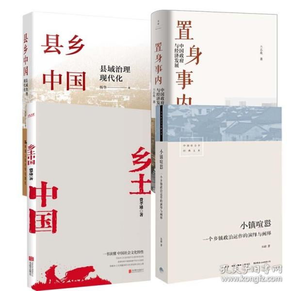 置身事内：中国政府与经济发展（罗永浩、刘格菘、张军、周黎安、王烁联袂推荐，复旦经院“毕业课”）