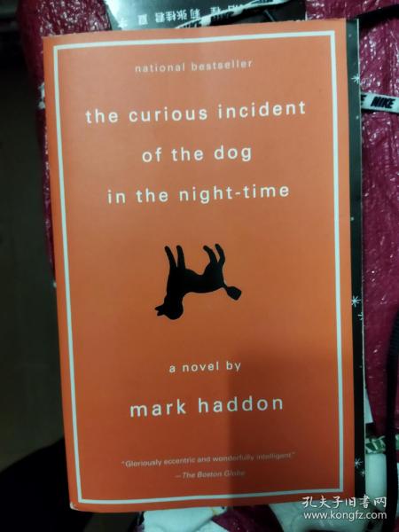 The Curious Incident of the Dog in the Night-Time