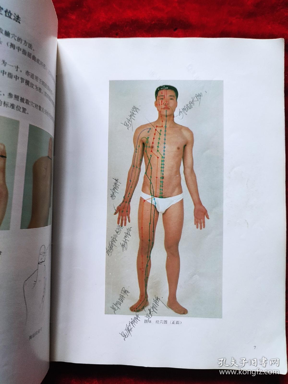针灸瑜穴彩色图谱（书有轻微开胶，慎拍）