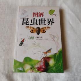 圖解昆蟲世界