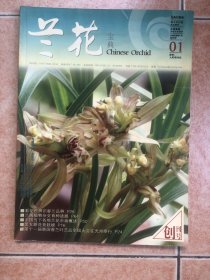 兰花宝典 创刊号