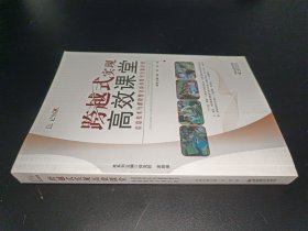 信息化教学系列·跨越式实现高效课堂：信息技术与课程整合高效教学方案评析