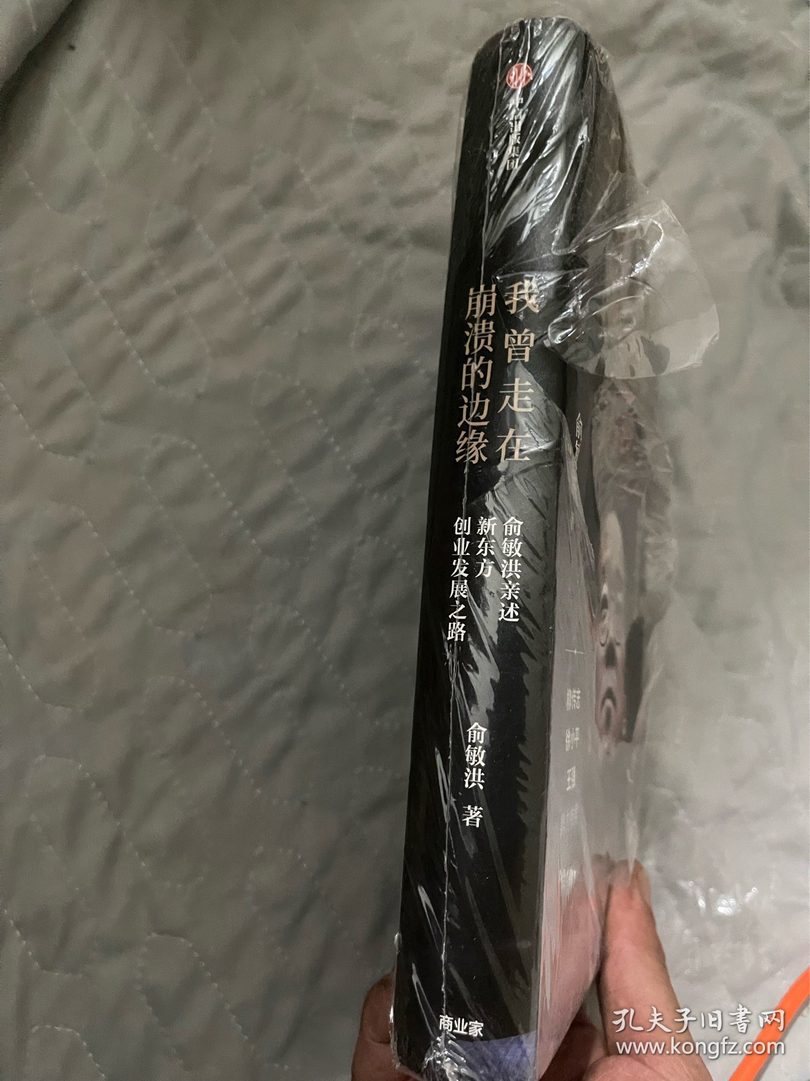 我曾走在崩溃的边缘：俞敏洪亲述新东方创业发展之路