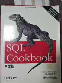 SQL Cookbook中文版