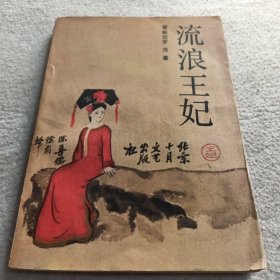 流浪王妃