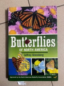 原版Butterflies of North America 北美的蝴蝶