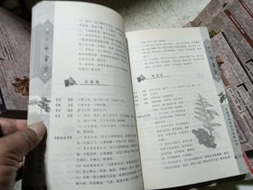 正版 中国传统医疗与保健丛书【全6册】 百草良方. 饮食易忌. 偏方大全. 本草纲目.千金方.常见病自诊自疗. 6册合售 一版一印