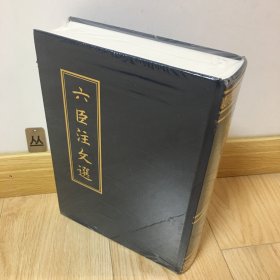 六臣注文选（精装）