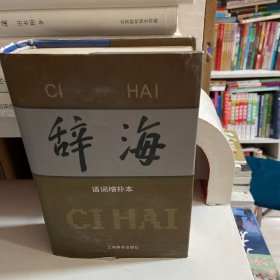 辞海