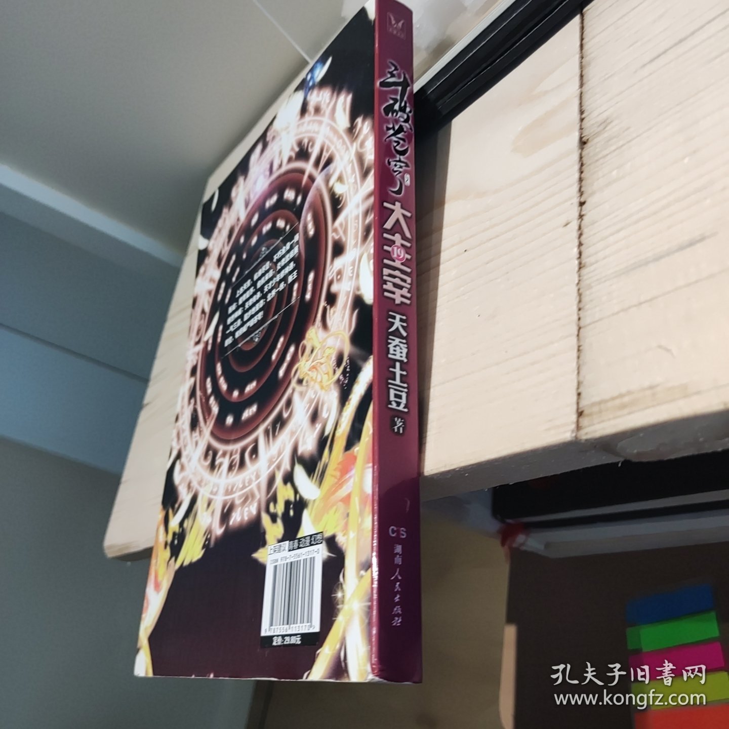 斗破苍穹之大主宰19