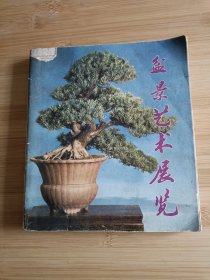 盆景艺术展览
