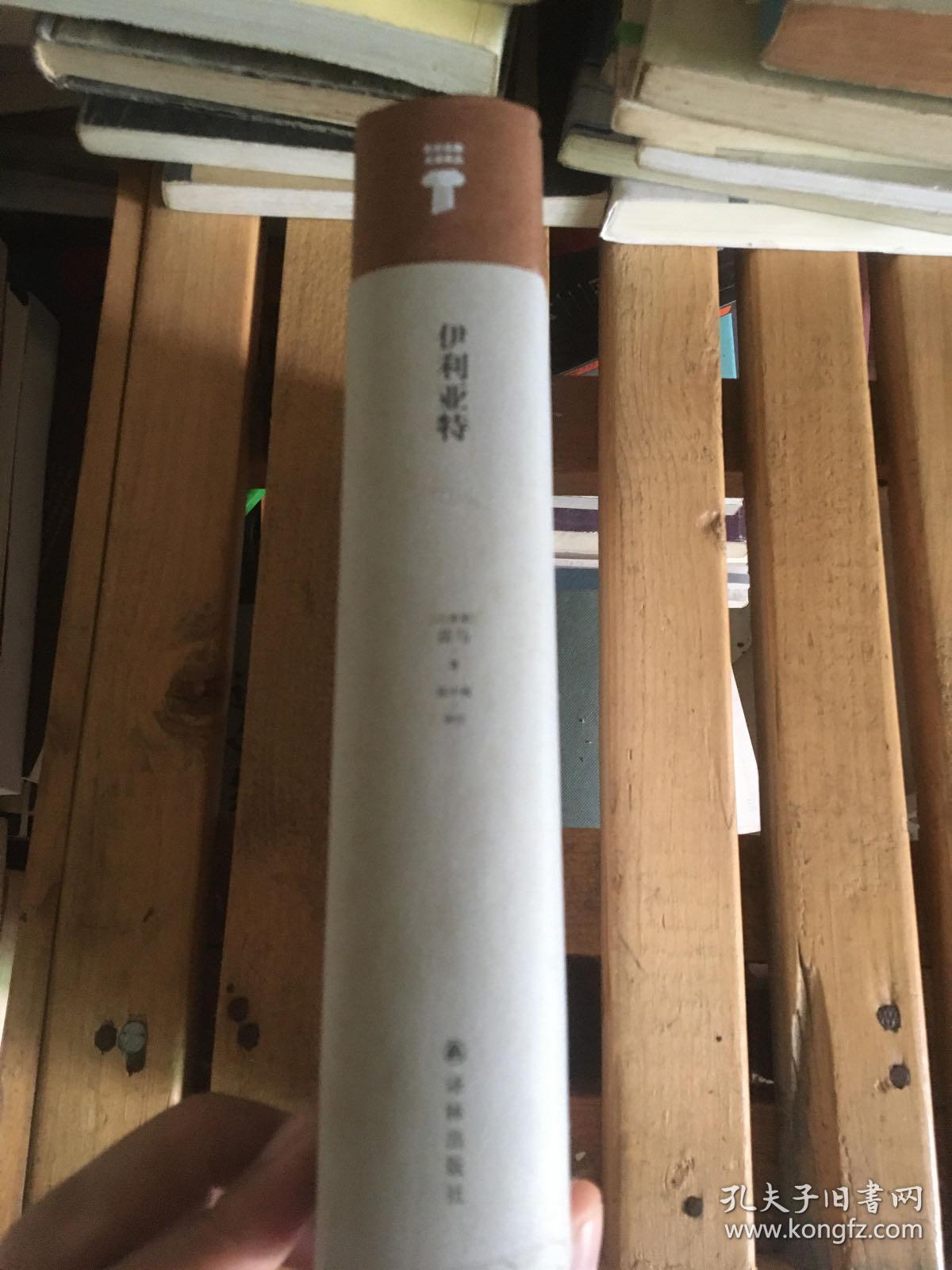 世界英雄史诗译丛：伊利亚特