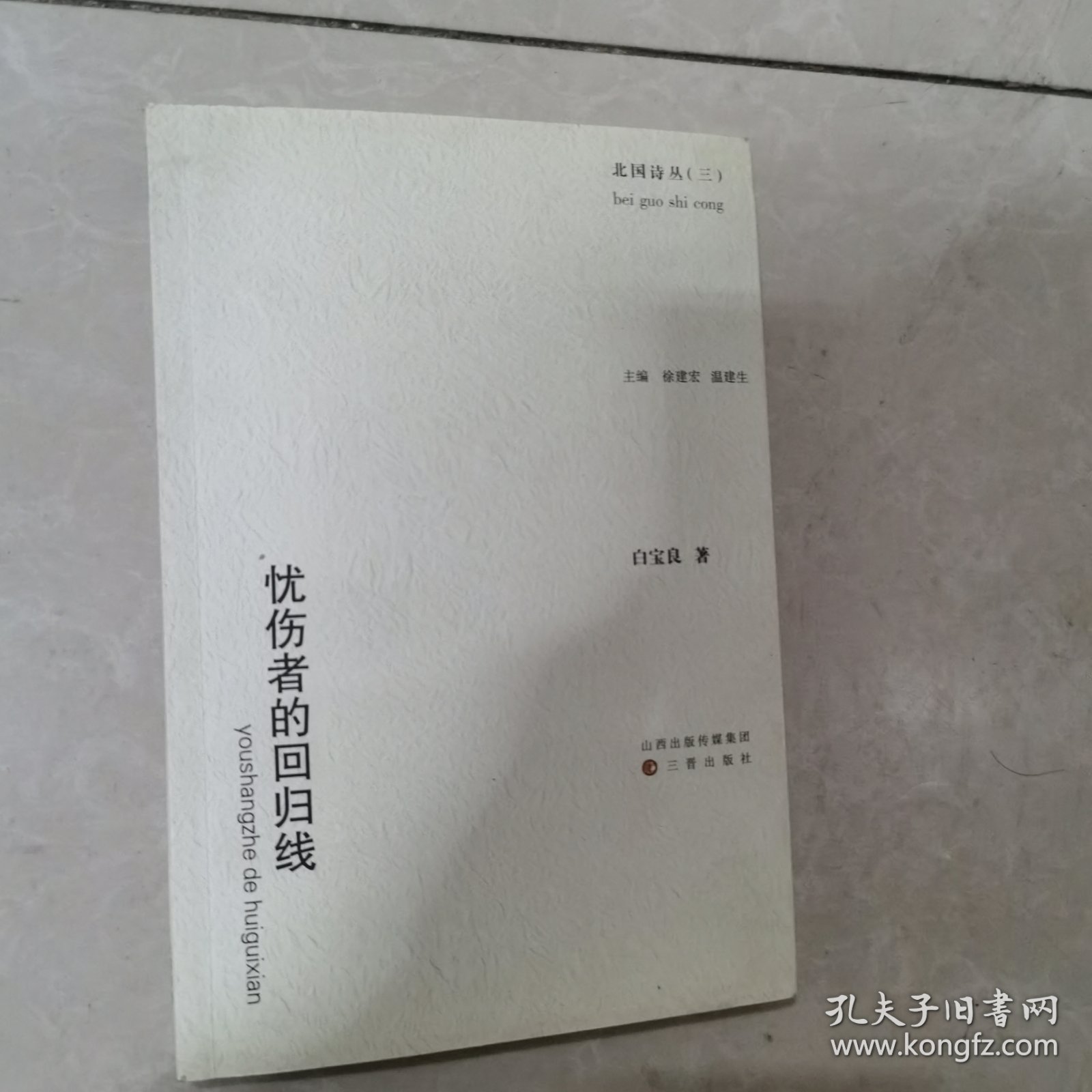 忧伤者的回归线