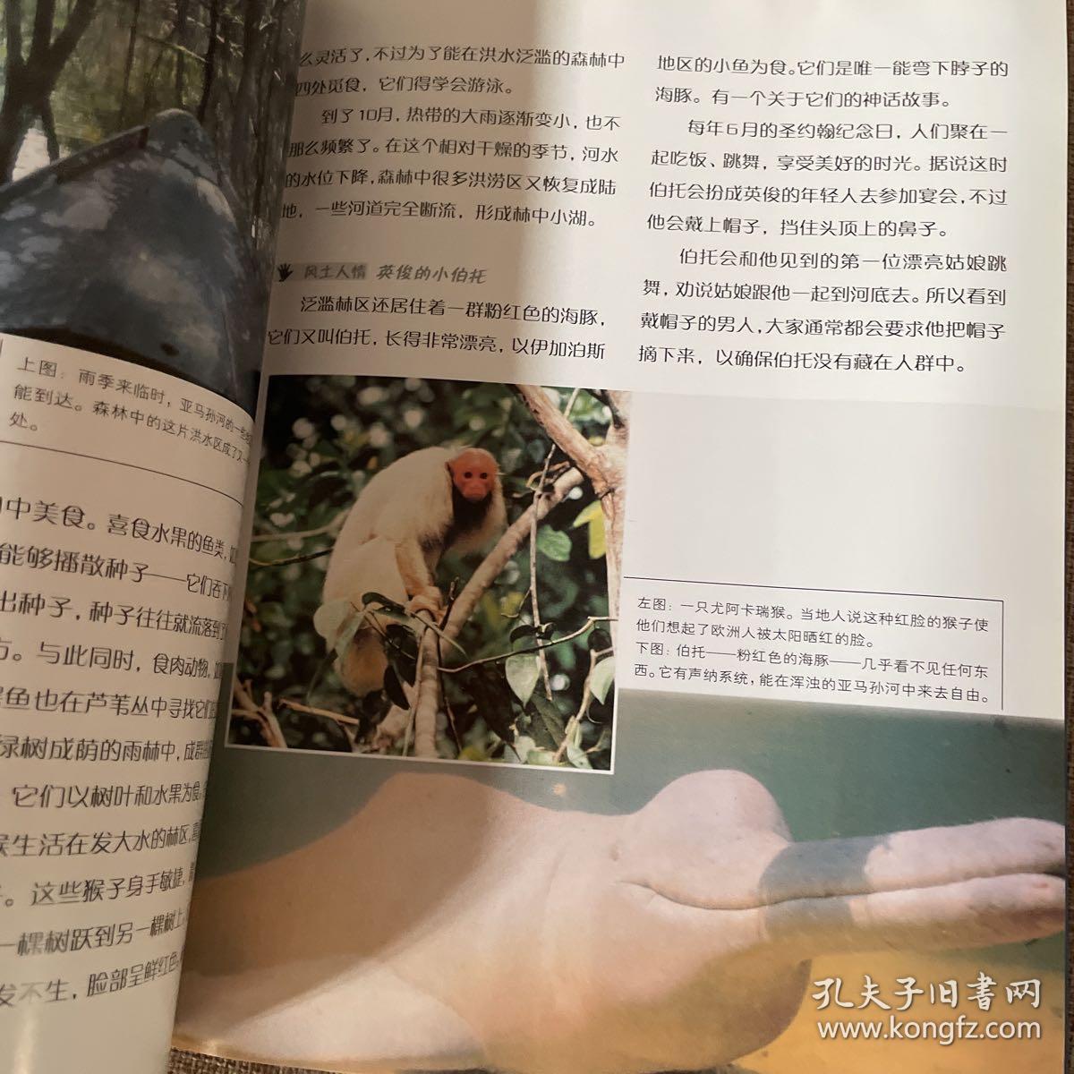 亚马孙河-大河之旅