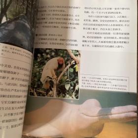 亚马孙河-大河之旅