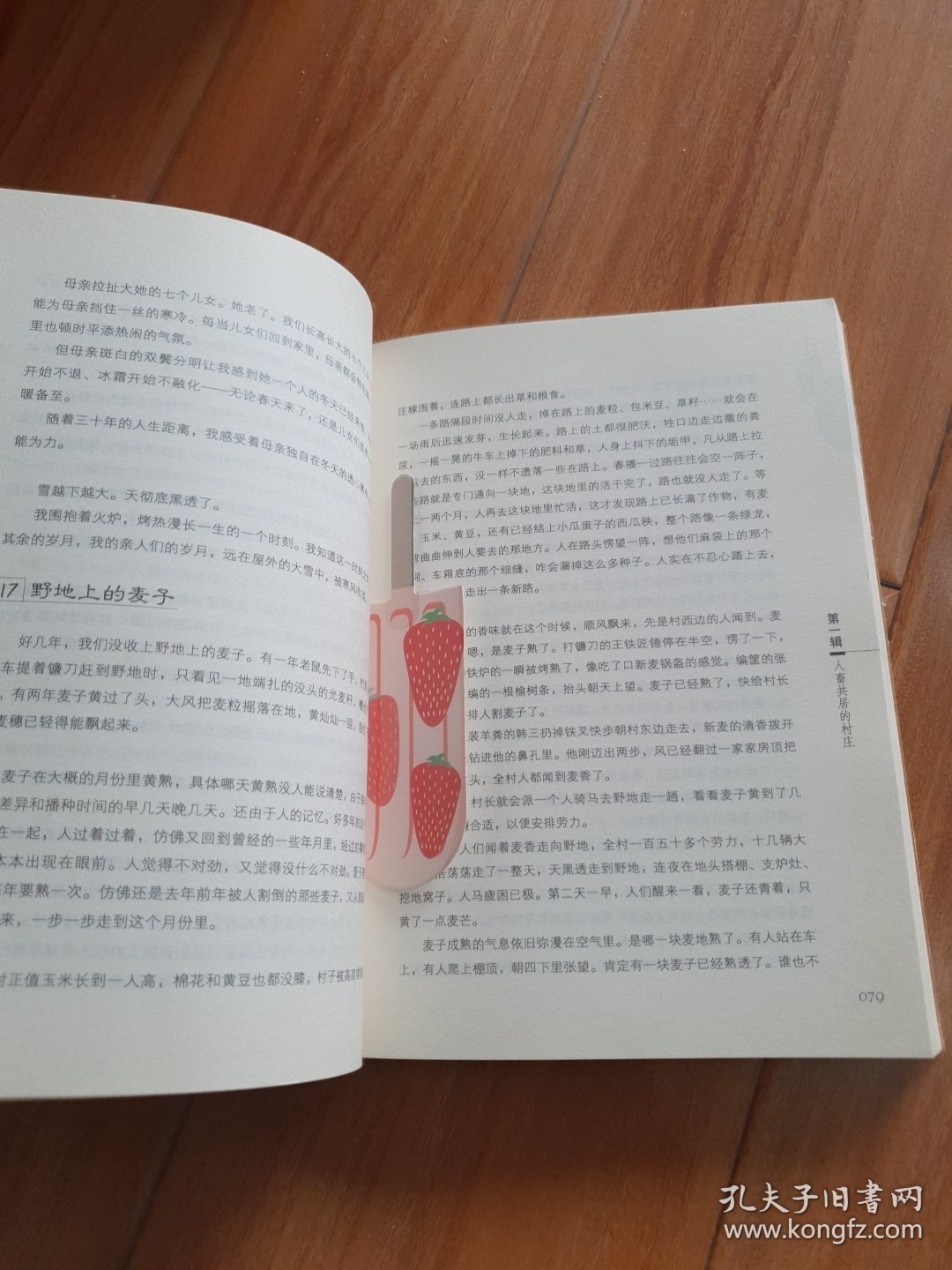 一个人的村庄