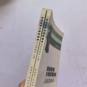 国际象棋开局武器库上下册 局面型棋手 进攻型棋手