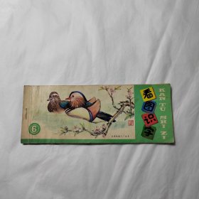 看图识字6