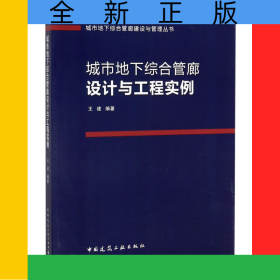 城市地下综合管廊设计与工程实例/城市地下综合管廊建设与管理丛书