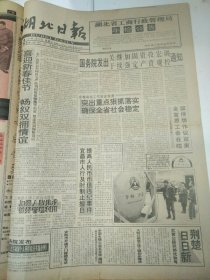 湖北日报1994年1月30日