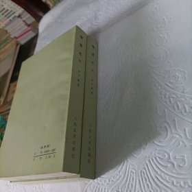 荡寇志(共两册)