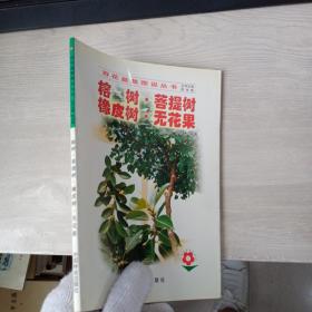 榕树菩提树橡皮树无花果