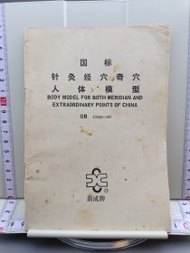 国标针灸经穴奇穴人体模型