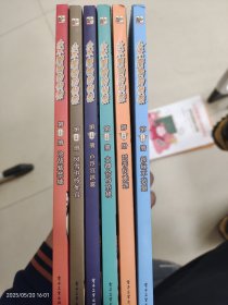 永不服输的侦探（全6册）