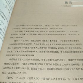 童年·在人间·我的大学（世界文学名著拓展阅读:名师导读版）