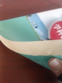 直击新课程学科教学疑难丛书·直击新课程学科教学疑难：中小学体育与健康