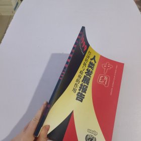 中国人类发展报告：经济转轨与政府的作用