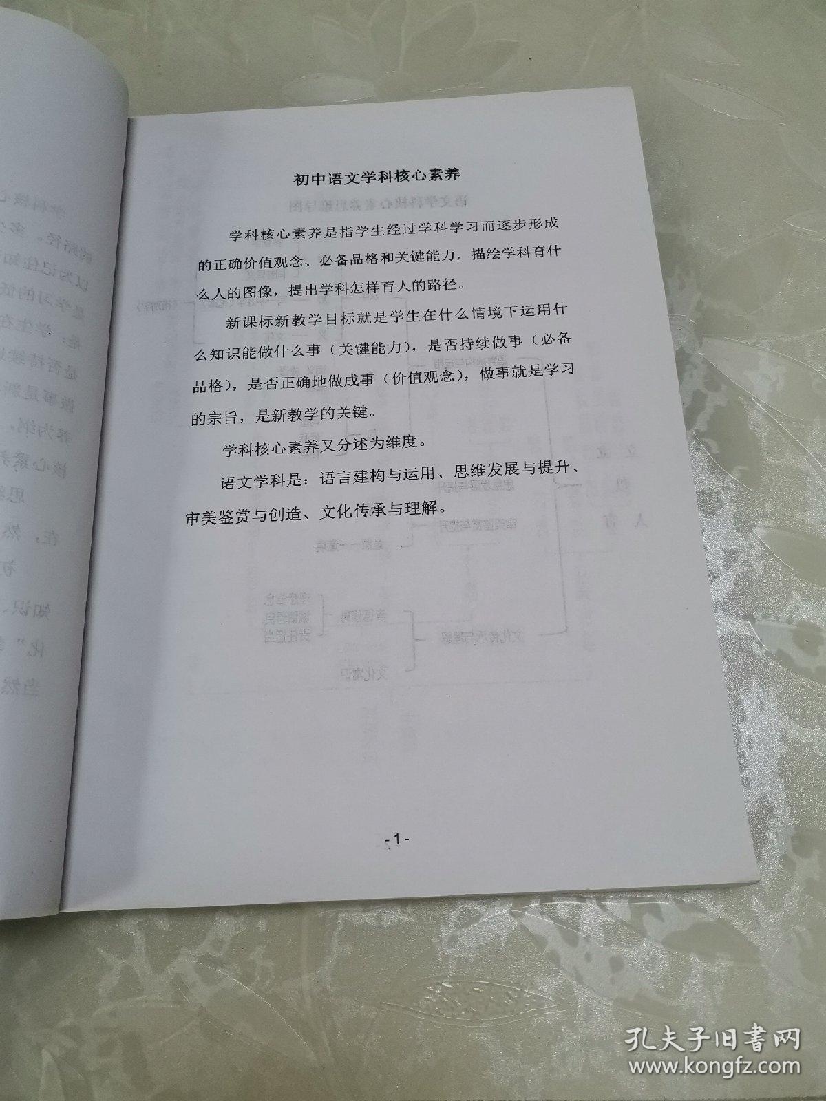 河北省“十三五”教育规划课题丛书（二）初中学科核心素养知识思维导图