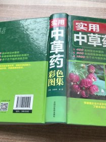 实用中草药彩色图集