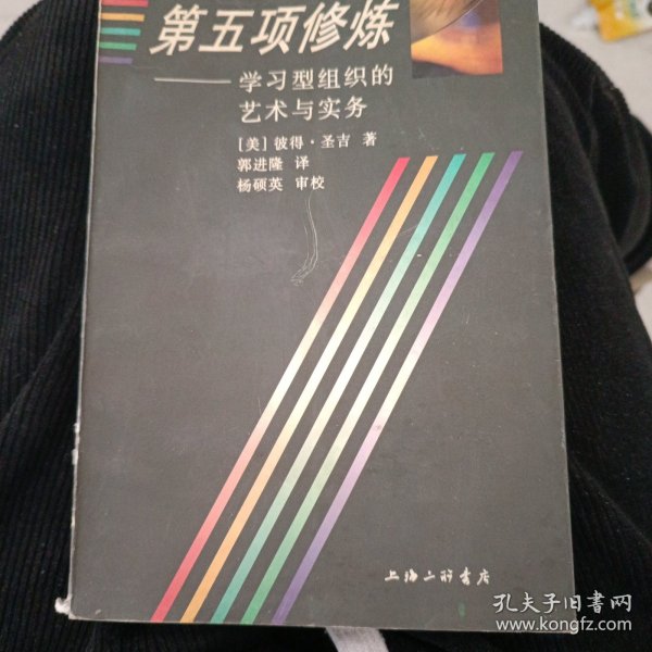 第五项修炼：学习型组织的艺术与实务