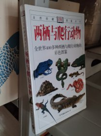 两栖与爬行动物：全世界400多种两栖与爬行动物的彩色图鉴