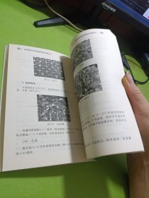 棚室蔬菜栽培图解丛书 图说棚室叶菜类蔬菜栽培关键技术 如图现货速发