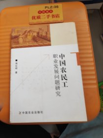 中国农民工职业发展问题研究