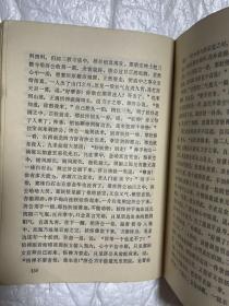 中国神怪小说大系•济公全书卷
顽世奇观